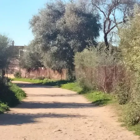 Andalou , Campagne , Chevaux , Piscine Commune Apartamento Arcos de la Frontera